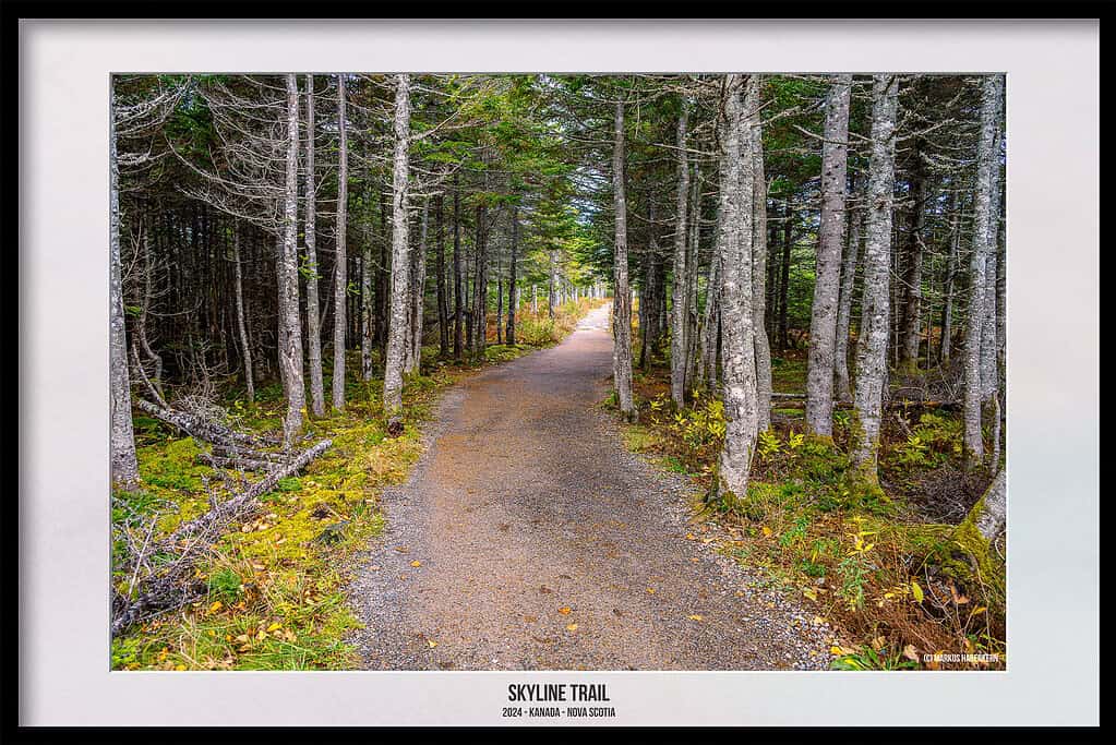 Der Skyline Trail – Dramatische Wanderung, wo der Himmel auf das Meer trifft