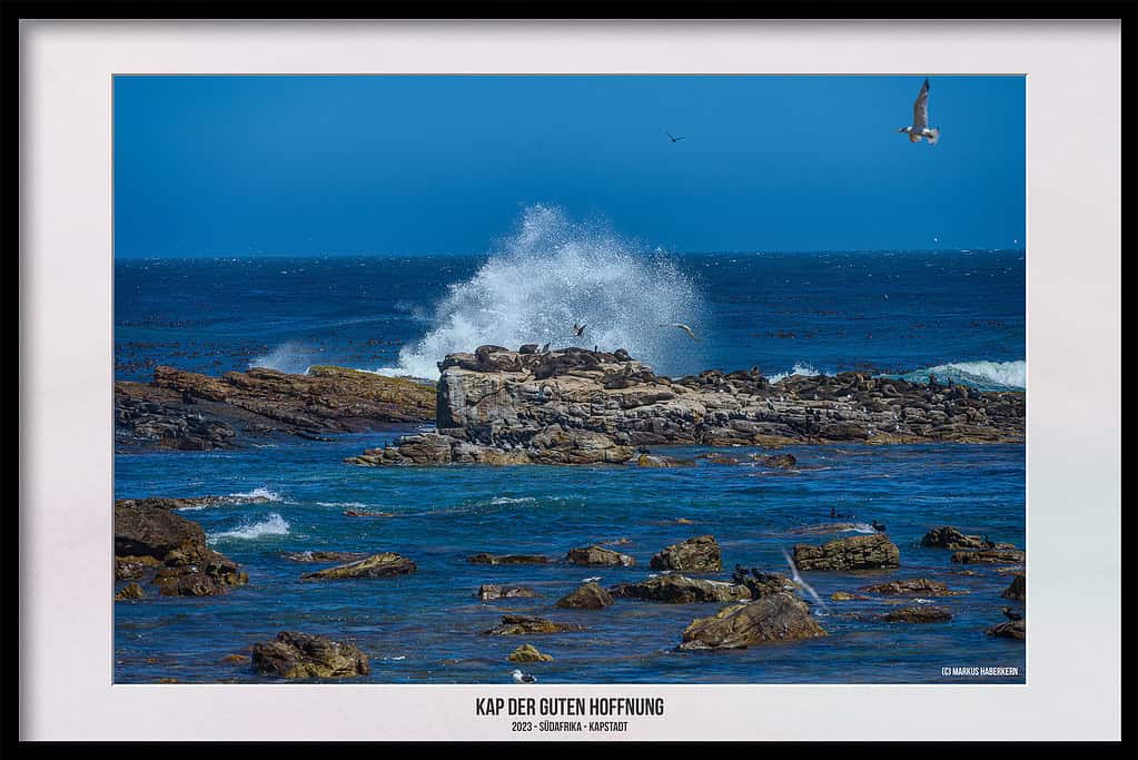 Das Kap der Guten Hoffnung – Naturreservat am südwestlichsten Punkt Afrikas