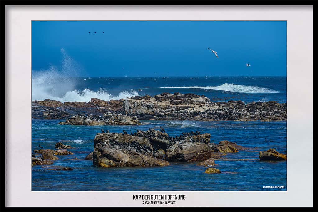 Das Kap der Guten Hoffnung – Naturreservat am südwestlichsten Punkt Afrikas