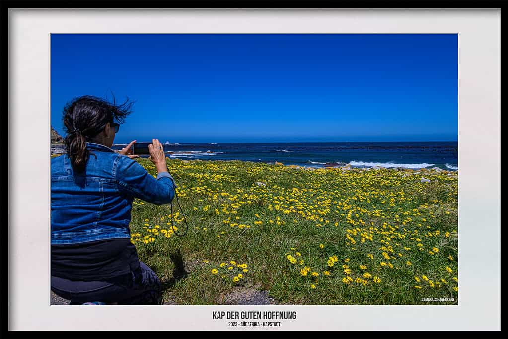 Das Kap der Guten Hoffnung – Naturreservat am südwestlichsten Punkt Afrikas