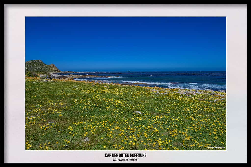 Das Kap der Guten Hoffnung – Naturreservat am südwestlichsten Punkt Afrikas