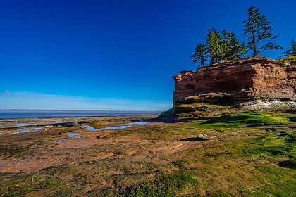 Burntcoat Head Park - Gigantische Gezeitenunterschiede von über 16 Metern