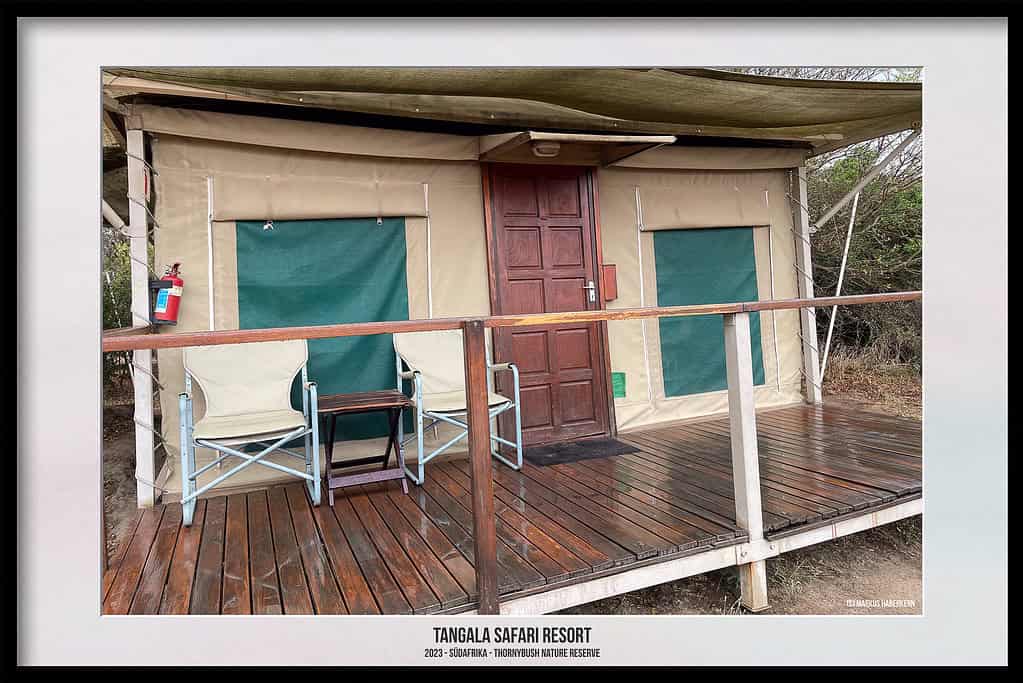 Thornybush Game Reserve – Traumhafter Aufenthalt im Greater Kruger National Park