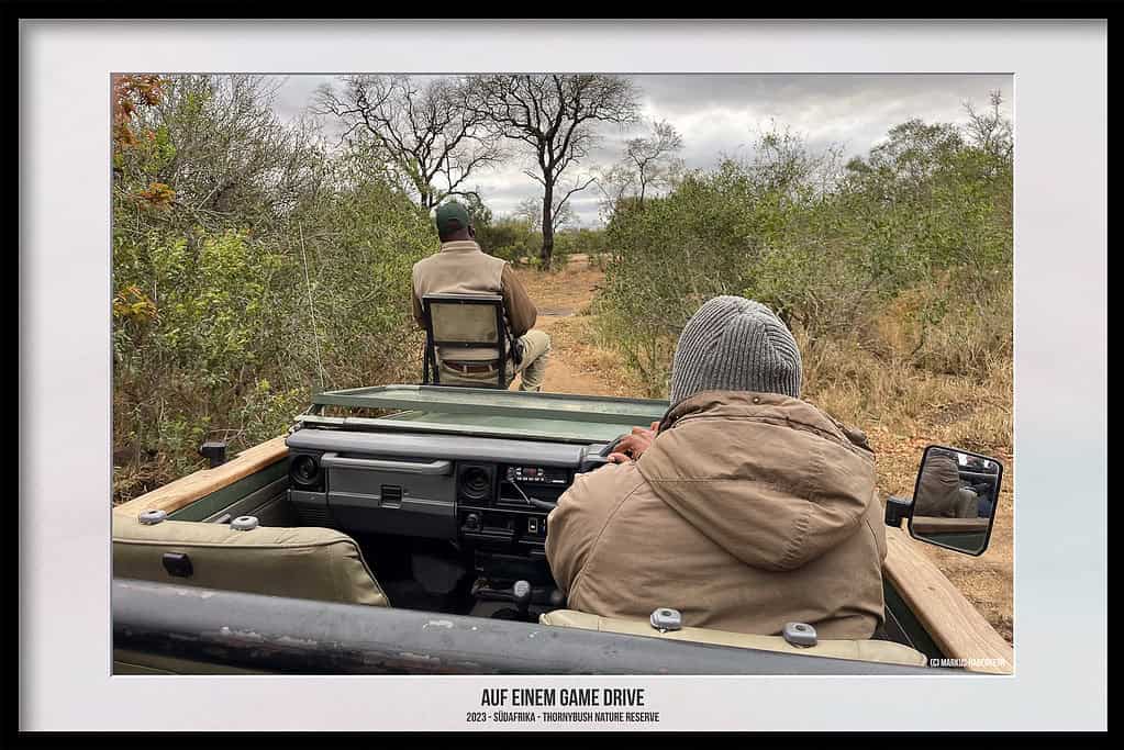 Thornybush Game Reserve – Traumhafter Aufenthalt im Greater Kruger National Park