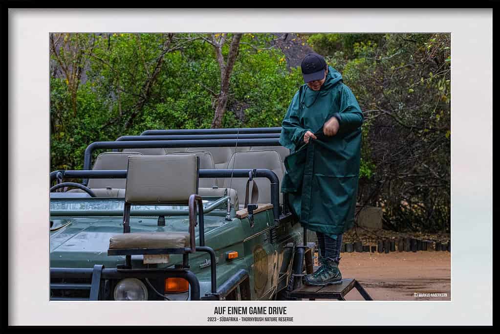 Thornybush Game Reserve – Traumhafter Aufenthalt im Greater Kruger National Park