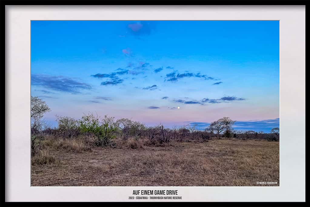 Thornybush Game Reserve – Traumhafter Aufenthalt im Greater Kruger National Park