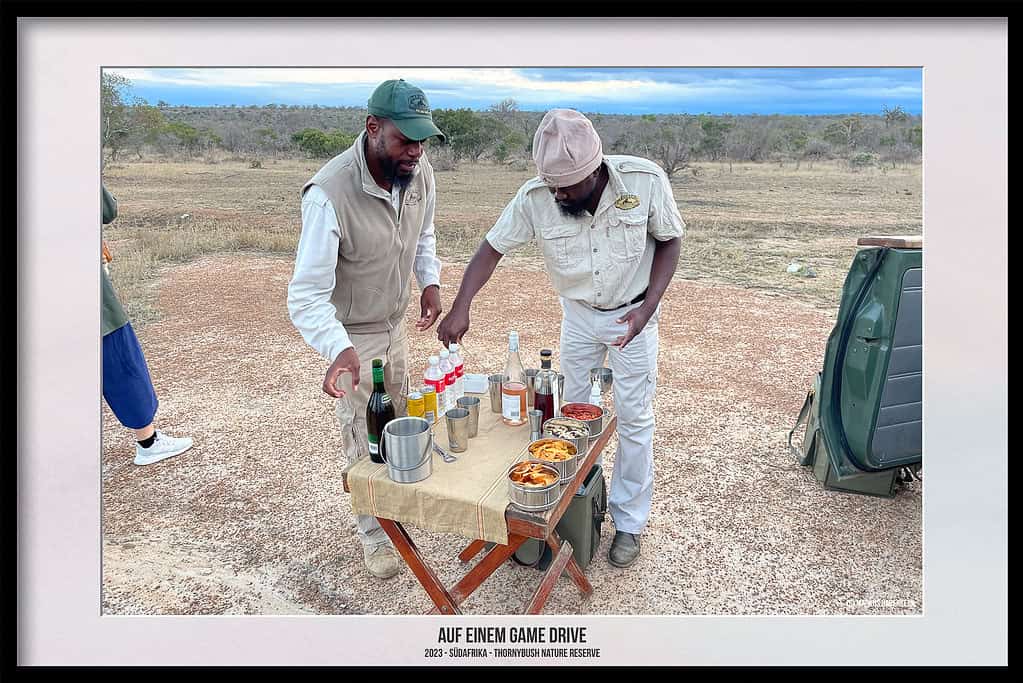 Thornybush Game Reserve – Traumhafter Aufenthalt im Greater Kruger National Park