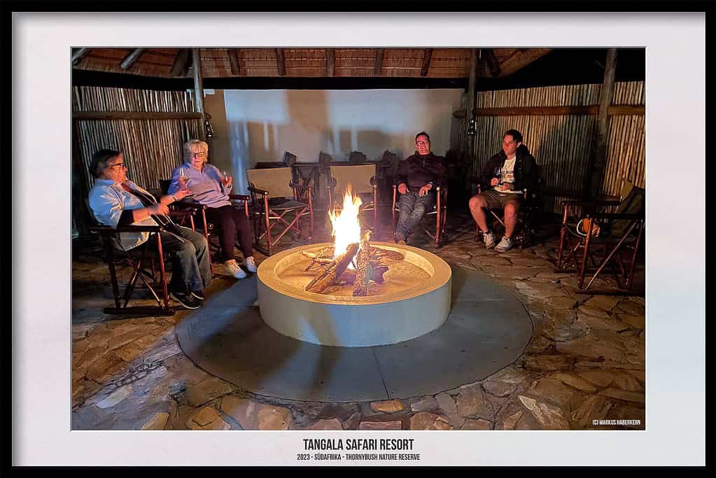 Thornybush Game Reserve – Traumhafter Aufenthalt im Greater Kruger National Park