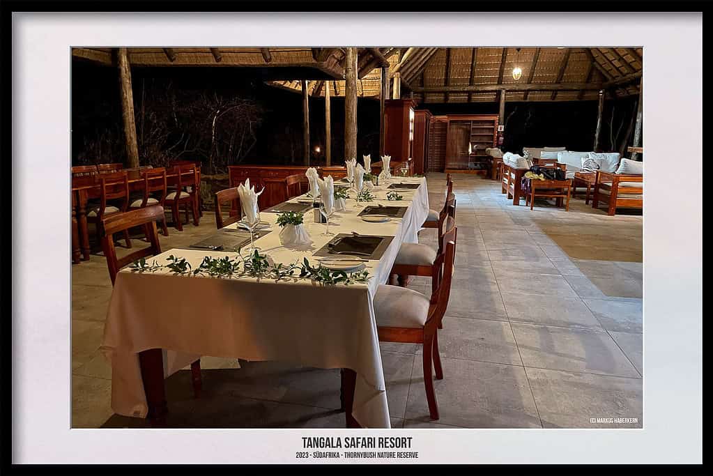 Thornybush Game Reserve – Traumhafter Aufenthalt im Greater Kruger National Park