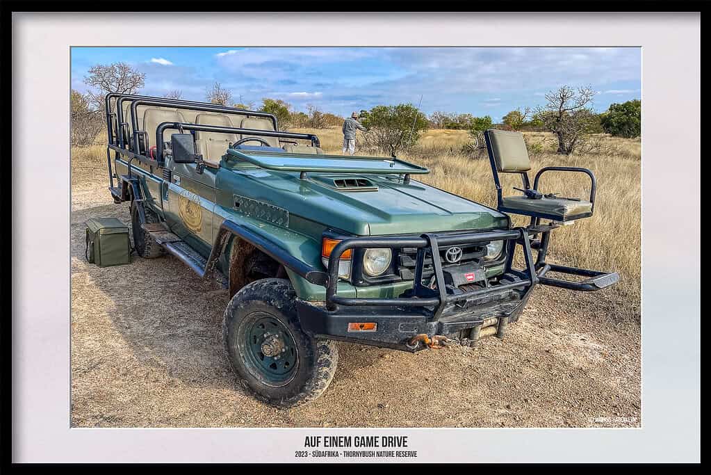 Thornybush Game Reserve – Traumhafter Aufenthalt im Greater Kruger National Park