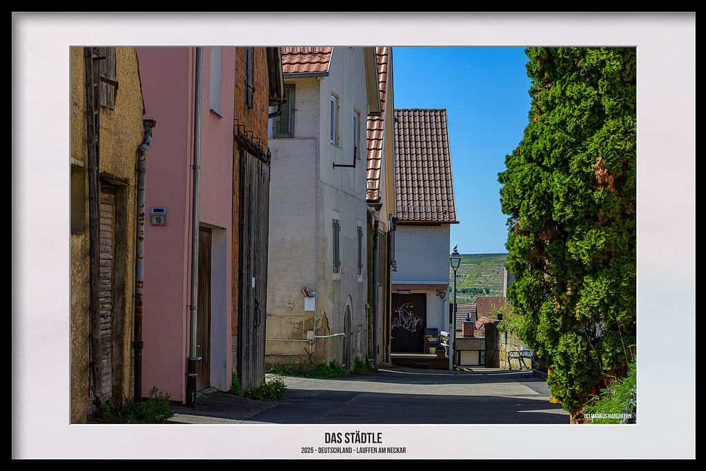 Lauffen am Neckar – Hölderlinstadt mit den 8 schönsten Sehenswürdigkeiten