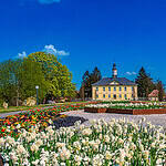 Bad Rappenau – Eine Stadtbesichtigung mit 7 tollen Sehenswürdigkeiten